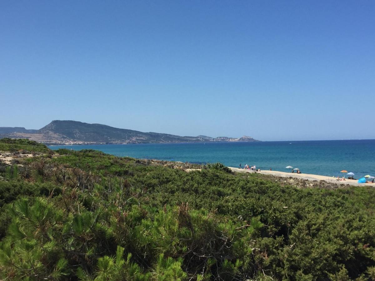 Vila Carrabean Sea In The North Of Sardegna, With Swimming Pool Viddalba Exteriér fotografie