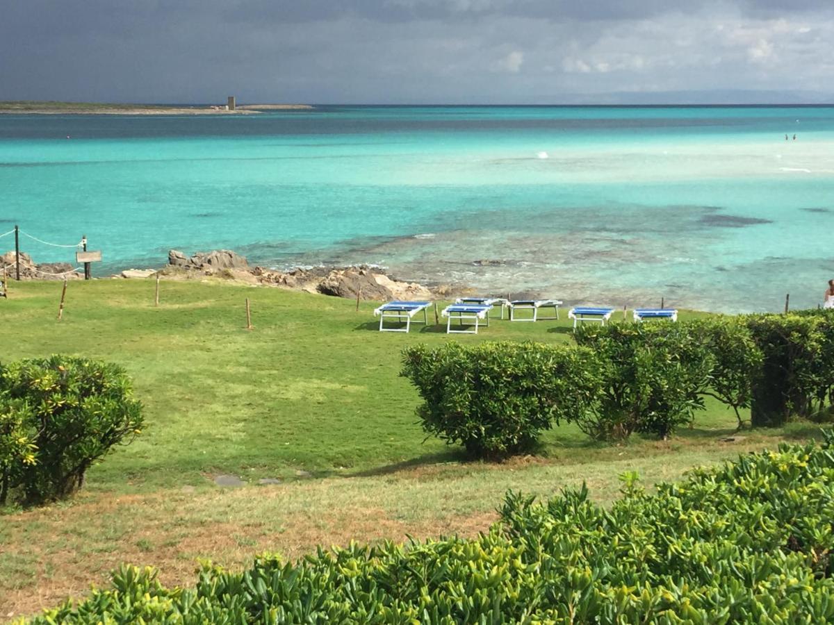 Vila Carrabean Sea In The North Of Sardegna, With Swimming Pool Viddalba Exteriér fotografie