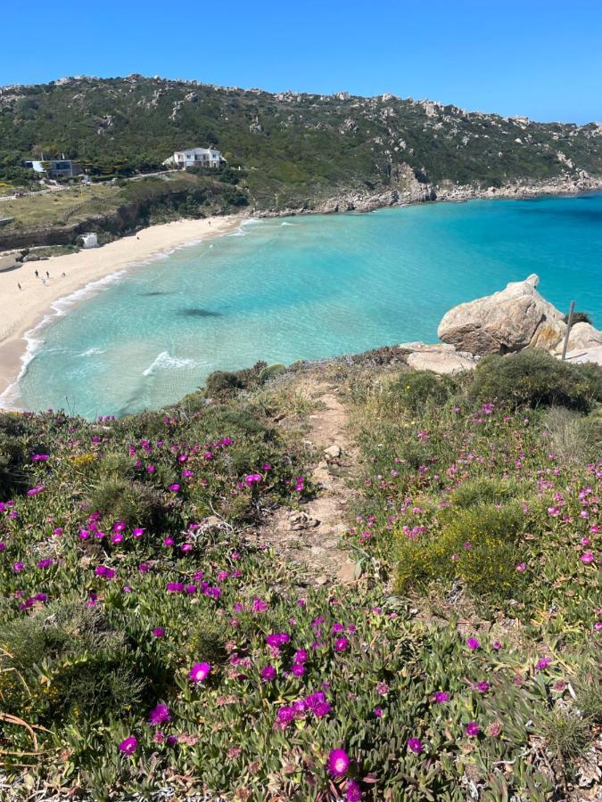 Vila Carrabean Sea In The North Of Sardegna, With Swimming Pool Viddalba Exteriér fotografie